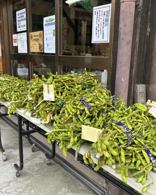 いよいよ秋の味覚「丹波黒大豆枝豆」の販売が始まりました🫛✨

枝豆といえば丹波篠山！通常の枝豆より大粒で、味の深みや食感がに優れています！😳
今の時期の枝豆は、比較的きれいな緑色で、さわやかな味わいが特徴です🤤
10月中旬を過ぎると、見た目は黒っぽくなり、味の深みが増します。🤩

味の違いを楽しむのもこの枝豆の醍醐味です！🫛🫛✨

丹波篠山市内の直売所や道路脇でも販売していますし、もちろん温泉でも販売しております♨️

枝豆を買いに来られた際は、是非こんだ薬師温泉にもお立ち寄りくださいませ🚗💨